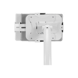 Neomounts Floor stand | FL15-625WH1 | Tilt, Rotate | 7.9- 11 " | Maximum weight (capacity) 1 kg | White
