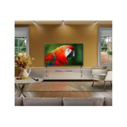 LG QNED 4K evo AI Mini LED TV | 43QNED8EB3F | 43 | Smart TV | webOS | UHD | Black