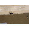 SALE OUT. | LG 65QNED80A3A | 65 | Smart TV | webOS | UHD | DAMAGED PACKAGING
