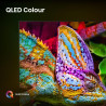 Hisense Mini LED TV | 65U7Q | 65 | Smart TV | VIDAA Smart OS | UHD | Black
