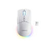 Lenovo RGB Gaming Mouse | Legion M220 | Wireless | 2.4 GHz, Bluetooth, Wired | Glacier White