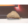 SALE OUT. AOC CU34G4 Curved 34" 3440x1440/21:9/1ms HDMI, DisplayPort, USB, Audio out | SALE OUT. AOC | CU34G4 | 34 " | Fast VA |