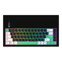 Razer | Reclusa X Mini 65% | Mechanical Gaming Keyboard | Wired | US | Razer Mechanical Switches Gen-3 (Tactile) | Black