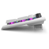 Dell | Alienware Tri-Mode AW920K | Wireless Gaming Keyboard | Wireless | RGB LED light | US | Bluetooth | Lunar Light | Numeric 